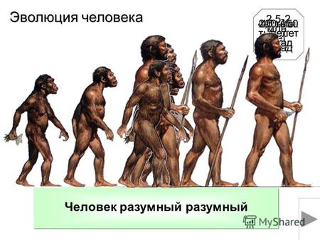 АвстралопитекЧеловек умелыйЧеловек прямоходящийЧеловек разумный (неандерталец) Эволюция человека 4-3 млн. лет назад 2,5-2 млн. лет назад 1,5 млн. лет назад.