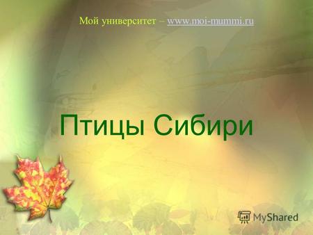 Птицы Сибири Мой университет – www.moi-mummi.ruwww.moi-mummi.ru.