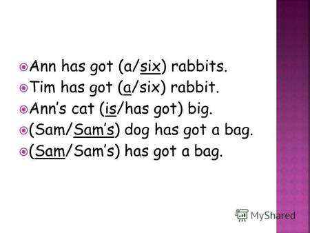 Ann has got (a/six) rabbits. Tim has got (a/six) rabbit. Anns cat (is/has got) big. (Sam/Sams) dog has got a bag. (Sam/Sams) has got a bag.