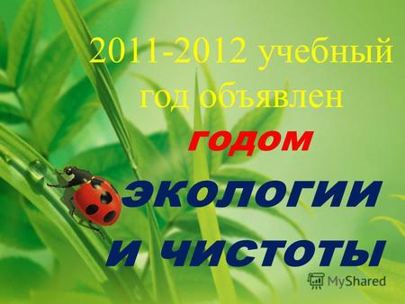 2011-2012 учебный год объявлен годом экологии и чистоты.