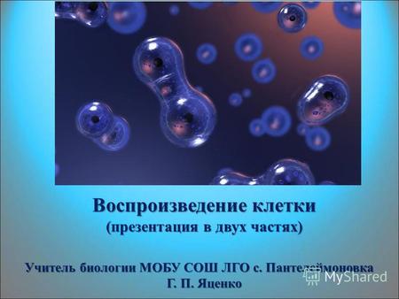 Воспроизведение клетки (презентация в двух частях) Учитель биологии МОБУ СОШ ЛГО с. Пантелеймоновка Г. П. Яценко.