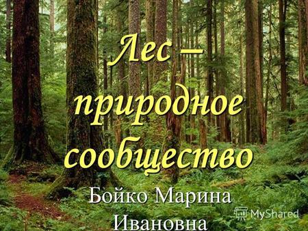 Лес – природное сообщество Бойко Марина Ивановна.