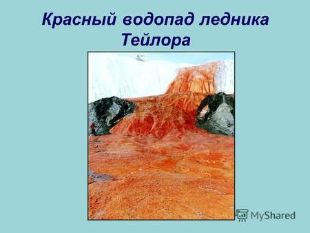 Красный водопад ледника Тейлора. Бактерии: общая характеристика, особенности строения, значение.