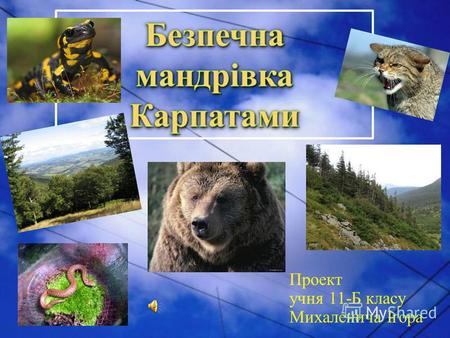 Проект учня 11-Б класу Михаленича Ігора. Карпатські гори є одним з найбільших гірських хребтів Європи та природною скарбницею світового значення. Хребти.