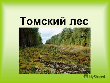 Томский лес. Томская область относится к многолесным регионам России: лесами покрыто 60% территории области или 29 млн га. Общий запас древесины составляет.