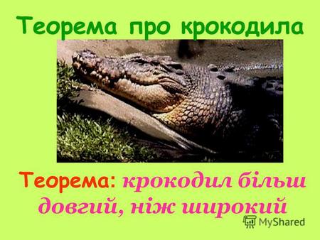 Теорема про крокодила Теорема : крокодил більш довгий, ніж широкий.