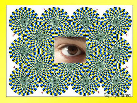 Проектная работа на тему « Исследование свойств глаза и создание программы корректировки зрения с помощью специальных упражнений » Выполнила ученица 9.