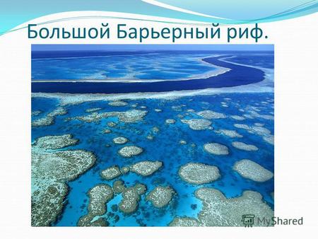 Большой Барьерный риф.. Крупнейшая в мире коралловая система по совместительству представляет собой самую крупную живую структуру на планете.