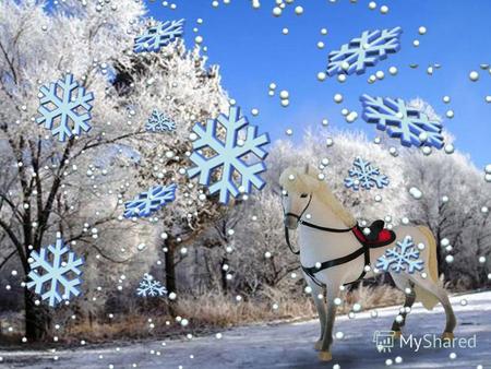 2014 год – год синей лошади Пусть Лошадка в этот год Много счастья принесет! Сколько снега за окном, Столько теплоты в ваш дом! Сколько лампочек в гирлянде,