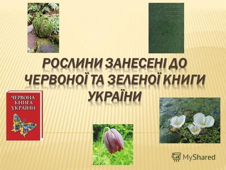 Червона книга України – це основний державний документ, який узагальнює відомості про сучасний стан видів тварин і рослин України, що перебувають під.