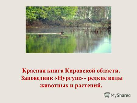 Красная книга Кировской области. Заповедник «Нургуш» - редкие виды животных и растений.