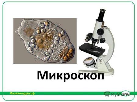 Микроскоп Физикопедия.рф. Микроскоп – прибор с объективом и окуляром для получения увеличенного изображения малых объектов Первые микроскопы Микроскоп.