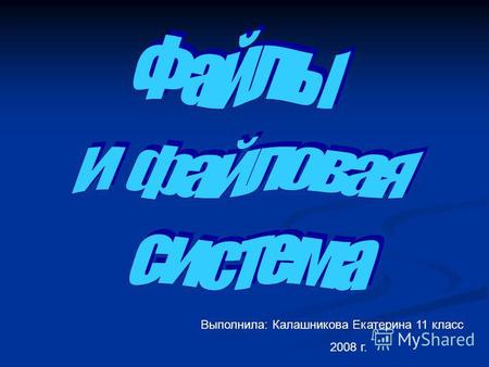 Выполнила: Калашникова Екатерина 11 класс 2008 г..