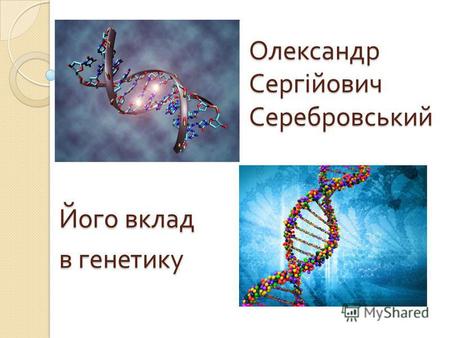 Його вклад в генетику Олександр Сергійович Серебровський Його вклад в генетику Олександр Сергійович Серебровський.