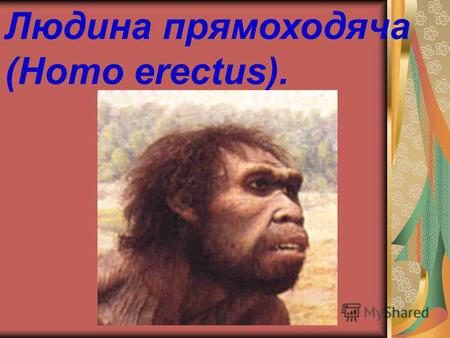 Людина прямоходяча (Homo erectus).. Історія знахідки останків Людини прямоходячої зайвий раз свідчить, що в антропології немає готових рецептів, і удача.