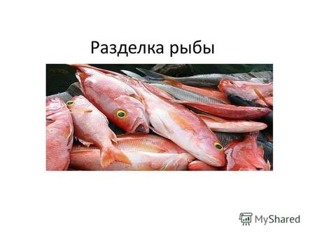 Разделка рыбы. Цель разделки Разделка рыбы преследует следующие цели: отделение съедобной части рыбы от несъедобной; рациональное использование съедобной.