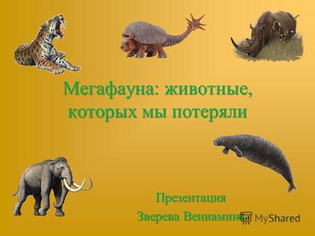 Мегафауна: животные, которых мы потеряли Презентация Зверева Вениамина.