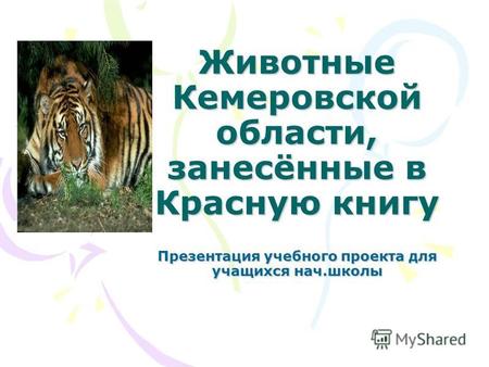 Животные Кемеровской области, занесённые в Красную книгу Презентация учебного проекта для учащихся нач.школы.