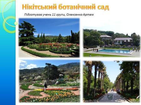 Підготував учень 11 групи, Олексенко Артем. Нікітський ботанічний сад комплексна науково-дослідна установа, одна з найстаріших в Україні, яка веде роботи.