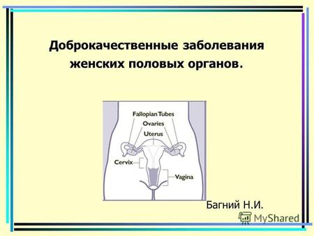 Доброкачественные заболевания женских половых органов. Багний Н.И.