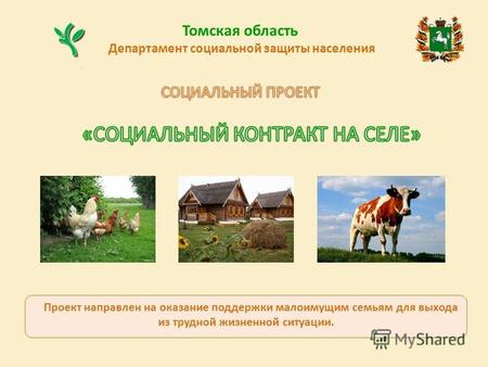 Департамент социальной защиты населения Томская область Проект направлен на оказание поддержки малоимущим семьям для выхода из трудной жизненной ситуации.