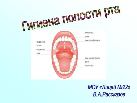 В наше время существует множество индивидуальных средств по уходу за зубами. Это основные средства (зубные щетки и зубные пасты) и дополнительные, например,