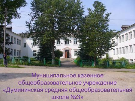 Муниципальное казенное общеобразовательное учреждение «Думиничская средняя общеобразовательная школа 3»