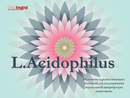 L.Acidophilus Источник «дружественных» бактерий для поддержания нормальной микрофлоры кишечника.