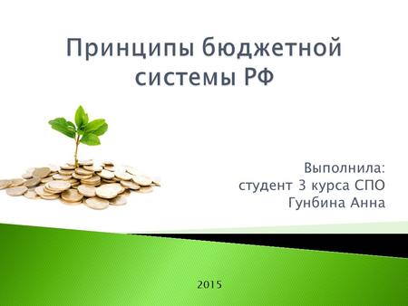 Принципы бюджетной системы РФ 