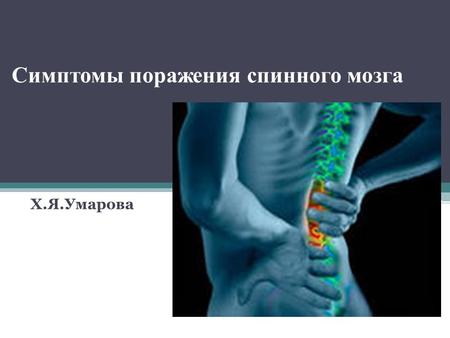 Симптомы поражения спинного мозга Х.Я.Умарова. Анатомия спинного мозга Спинной мозг является отделом центральной нервной системы. По структуре и функциям.