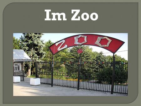 Im Zoo die Zebra der Fuchs der Affe der Pinguindie Giraffe.