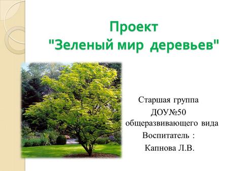 Проект  Зеленый мир деревьев  Старшая группа ДОУ 50 общеразвивающего вида Воспитатель : Капнова Л.В.