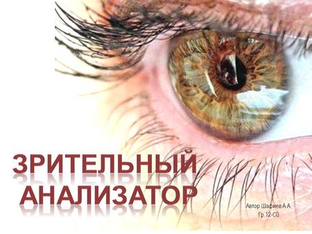 Автор Шафиев А.А. Гр.12-С 0. Через зрительный анализатор человек получает основное количество информации. Окружающие нас предметы и явления, наше собственное.