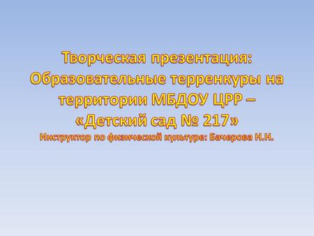 ДС 217 Творческая презентация образовательных терренкуров