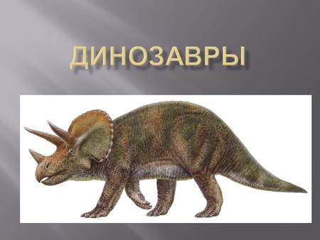 Миллионы лет назад на Земле господствовали динозавры, но они вымерли задолго до появления человека. Мы можем узнать о них только благодаря окаменелостям-