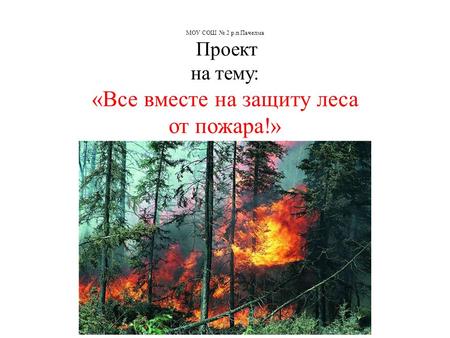 МОУ СОШ № 2 р.п.Пачелма Проект на тему: «Все вместе на защиту леса от пожара!» Пряхина Елена