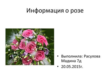 Информация о розе Выполнила: Расулова Мадина 7 д 20.05.2015 г.