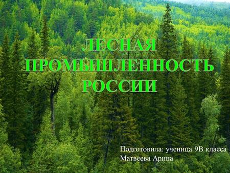 Подготовила : ученица 9 В класса Матвеева Арина. Леса покрывают более половины территории России Площадь леса в России составляет 8,8 млн км ².