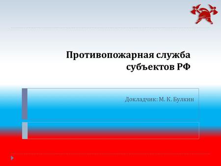 Противопожарная служба субъектов РФ Докладчик : М. К. Булкин.