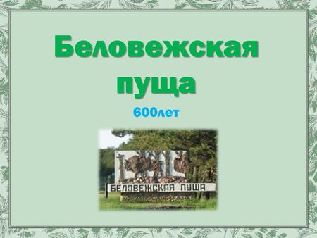 Беловежская пуща 600 лет. Национальный парк «Беловежская пуща», расположенный на территории Республики Беларусь, представляет собой единый природный комплекс.