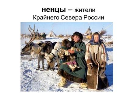 Ненцы – жители Крайнего Севера России. Тундра - холодные северные пространства.