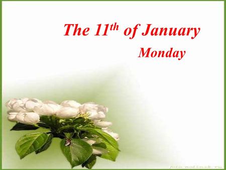 The 11 th of January Monday. Diagram The world around us The world around us people Nature Lands Rivers The sun Birds Plants Animals The sky woods Mountains.