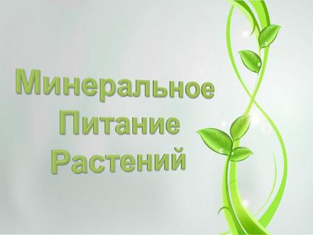 Минеральное питание растений.
Автор: Дмитрий Устименко