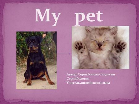 My pet Автор: Серикболова Сандугаш Серикболовна Учитель английского языка.