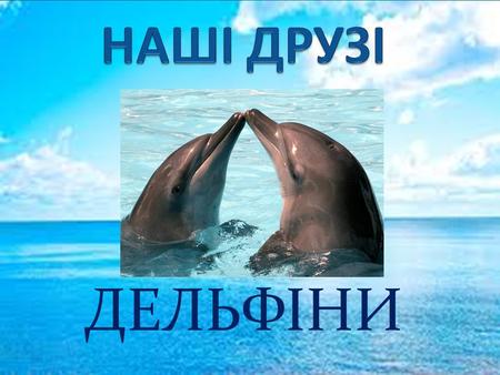 ДЕЛЬФІНИ Дельфіни – найменші представники ряду китоподібних. 47 видів цих тварин заселяє води Світового океану. У Чорному та Азовському морях біля Кримського.