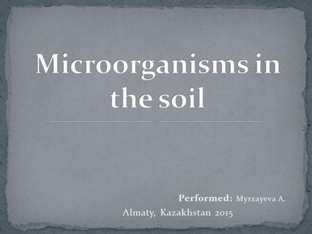 Performed: Myrzayeva A. Almaty, Kazakhstan 2015. Soil bacteria are the primary digestive system of the soil. Their activity is responsible for almost.