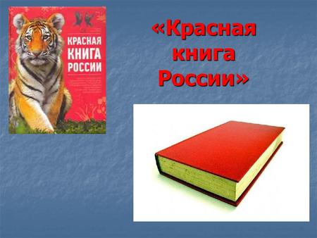 «Красная книга России». Ученые мира в 1966 году создали Международный союз охраны природы, который стал изучать, каким растениям и животным надо помочь.
