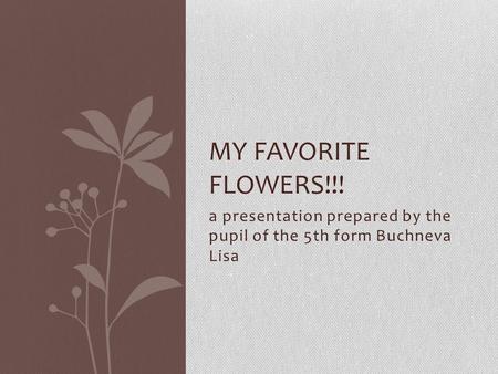 A presentation prepared by the pupil of the 5th form Buchneva Lisa MY FAVORITE FLOWERS!!!