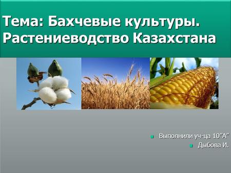 Тема: Бахчевые культуры. Растениеводство Казахстана 