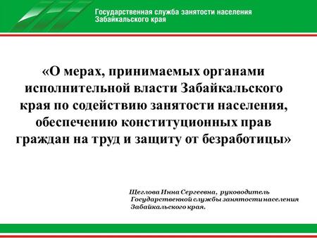 «О мерах, принимаемых органами исполнительной власти Забайкальского края по содействию занятости населения, обеспечению конституционных прав граждан на.
